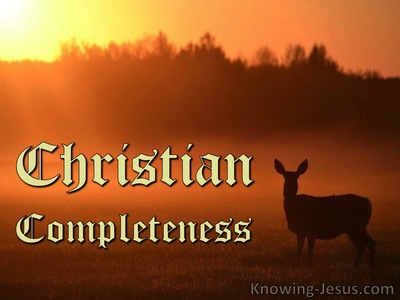 Christian Completeness
